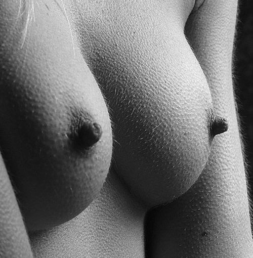 black and white photo of boobs